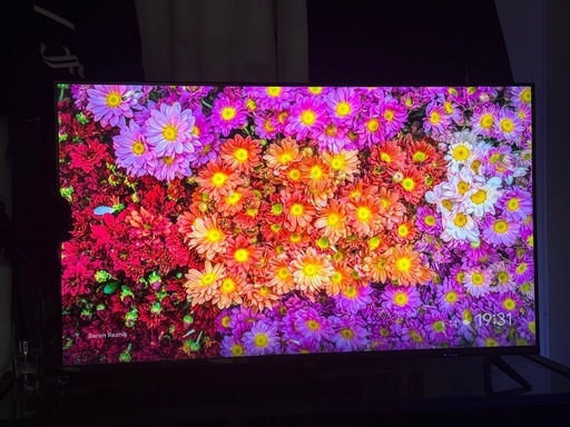 テレビ