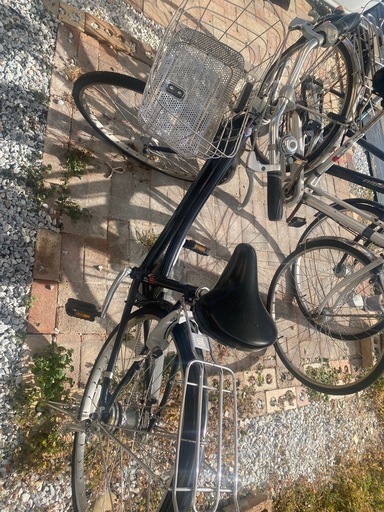 アルベルト自転車