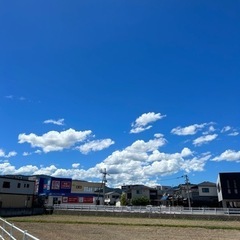 テニスプライベートレッスン生募集🎾✨の画像