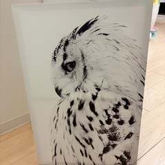 インテリアアートの画像