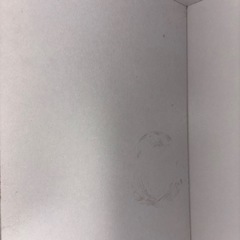 アイリスオーヤマ 収納棚の画像