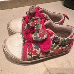 15センチ2点セットの画像