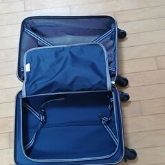 キャリーバック　※手渡しの画像