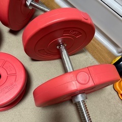 FIELDOOR ダンベル20kg×2の画像