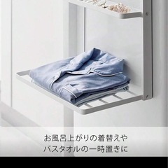 洗面所マグネット付き2段収納の画像