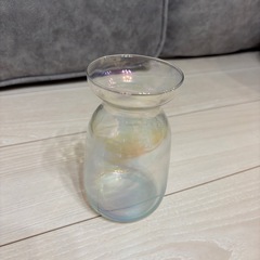 花瓶💐オーロラ🌈の画像