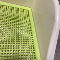 中古　犬用　トイレトレー　ワイドタイプの画像