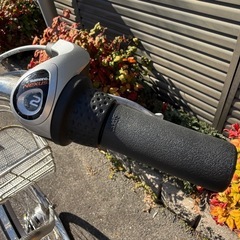 整備済み⭐️ブリヂストン　アルベルトロイヤル　27インチ　の画像