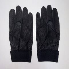 【新品激安】ミズノプロ 24cmバッティンググローブ パワーアークラインDIの画像