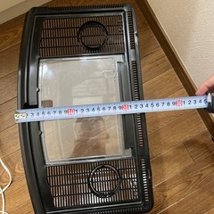 大きめの虫かごの画像