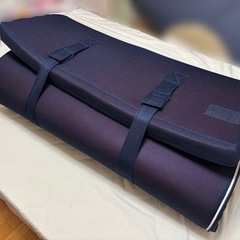 西川 高反発マットレス ANY MAT セミダブルの画像