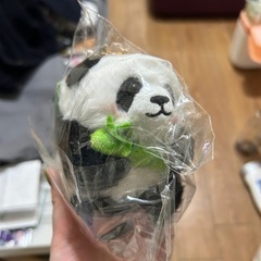 パンダのぬいぐるみの画像