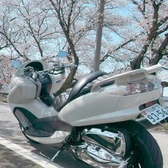 大人仕様 マジェスティ4d9の画像