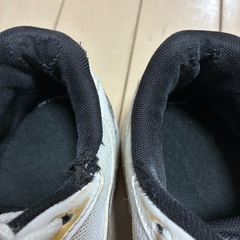 バレーボール　シューズ　24.5㎝の画像