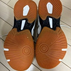 バレーボール　シューズ　24.5㎝の画像