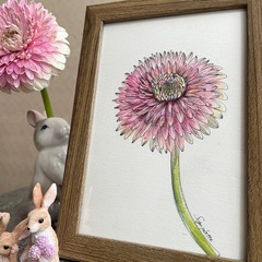 『ガーベラ姫の歌』一点物/原画/額付の画像