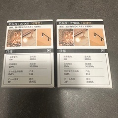 LED電球　2球×2箱の画像