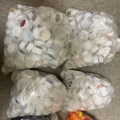 ペットボトルキャップ　工作用にいかがでしょうかの画像