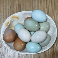 家庭菜園の土に混ぜて栄養豊富に　土壌改良　鳥フンあげますの画像