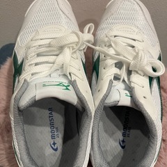 ジムスター体育館シューズ25.5cmの画像