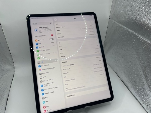 Apple iPad Pro 12.9 第５世代 256GB セルラーモデル #mon306 SIMフリー