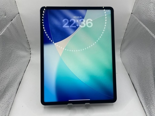 Apple iPad Pro 12.9 第５世代 256GB セルラーモデル #mon306 SIMフリー