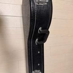 マンドリン AM-20
の画像