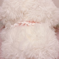 Yunni  ぬいぐるみ with you 600% 白　ピンク　羊　ベイビースリー　 LuckyDeerNay nommiの画像