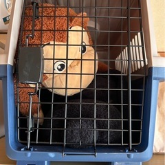 ペットキャリーの画像