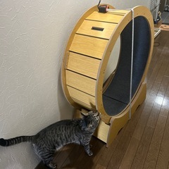 多数のご連絡ありがとうございます　只今交渉中です　キャンセル出ましたら宜しくお願いしますの画像