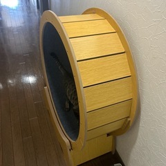 多数のご連絡ありがとうございます　只今交渉中です　キャンセル出ましたら宜しくお願いしますの画像