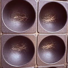 たこ焼き＆ミニホットプレートの画像