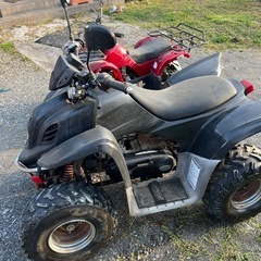 取引完了
バギーの画像