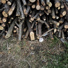 ✨薪　焚き火　キャンプ　広葉樹✨