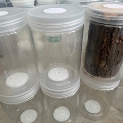 菌糸瓶、昆虫マットなどの画像