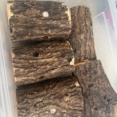 菌糸瓶、昆虫マットなどの画像