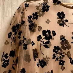 シースルー ベロア 花柄 長袖 シアー ブラウスの画像