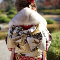 成人式 振袖 一式セット フルセットの画像