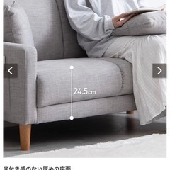 【差し上げます】コンパクトソファの画像