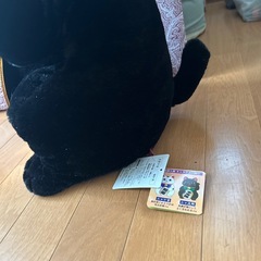 服招きニャン吉ぬいぐるみの画像