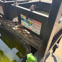 テトラ じょうろでキレイメダカ鉢 40×40 黒の画像