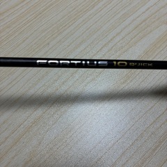 フォルティウス10クイック FORTIUS 10 QUICK
の画像