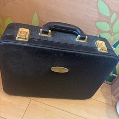 【取りに来ていただける方】ジェットソニックVer.2の画像