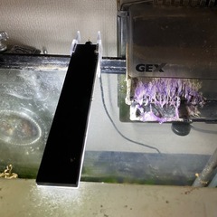 水槽セットの画像