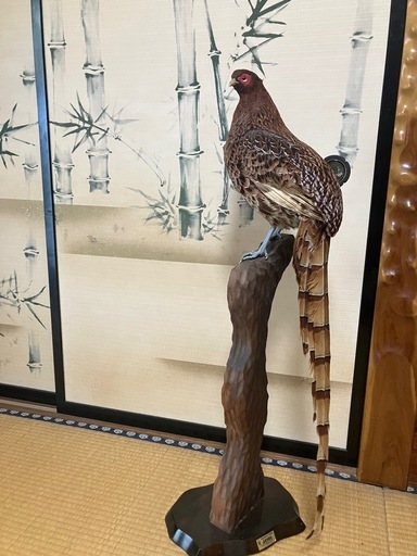 剥製