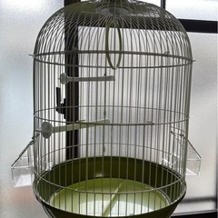 鳥かごの画像