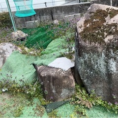 庭石の画像