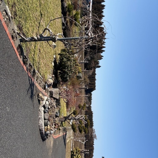 庭の石・木