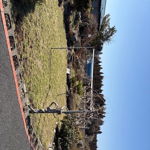 庭の石・木
