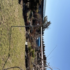 庭の石・木の画像